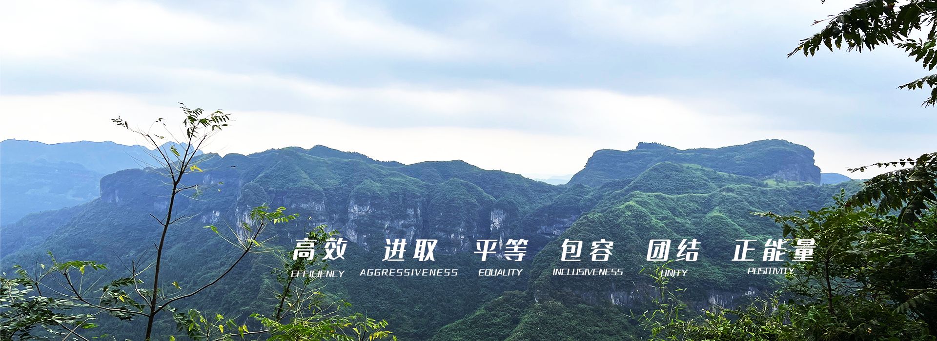 J9直营集团集团